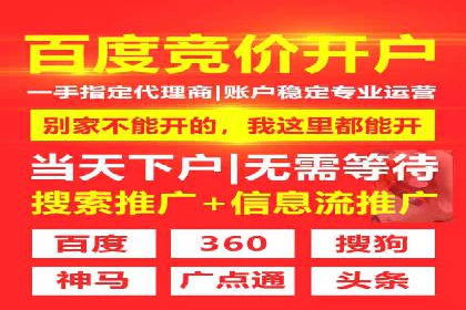 百度竞价广告案例分析：成功之道揭秘