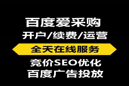案例分析：SEM托管服务助力电商销量倍增
